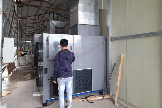 Sấy gỗ BKV