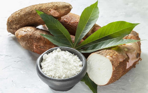 sấy sắn dây cùng BKV
