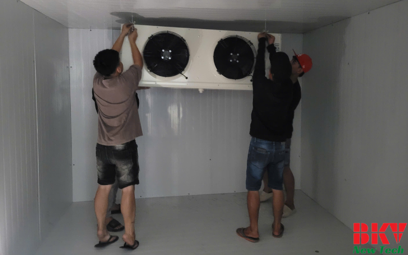 Lắp đặt phòng lạnh BKV