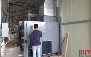 Công Nghệ Sấy Gỗ Keo Hiện Đại Tại Thái Hòa Nghệ An
