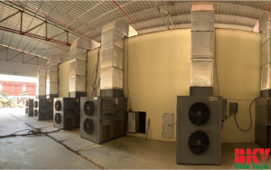 Tối ưu hóa sấy gỗ Thanh Hóa – Dự án lò 50m³ Lâm Thanh Hưng