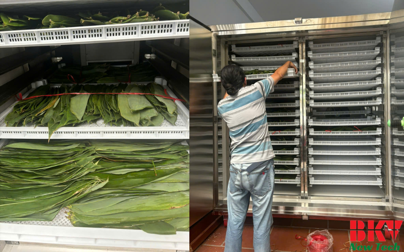 Thử Nghiệm Sấy Lá Tre Bằng Công Nghệ Bơm Nhiệt