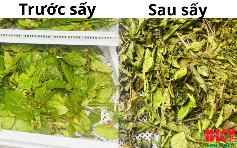 Xạ đen trước sấy và sau sây bằng máy BKV