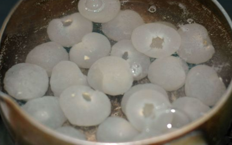 Trần sơ để ráo