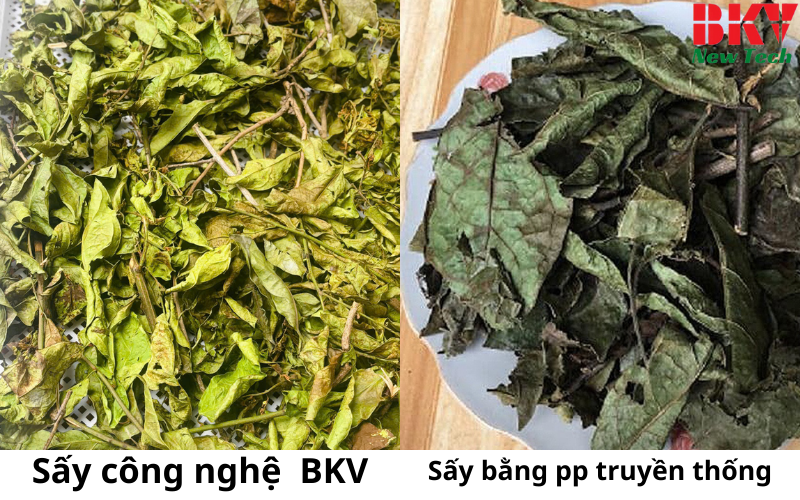 So sánh sấy bằng bơm nhiệt của BKV với các phương pháp truyền thống