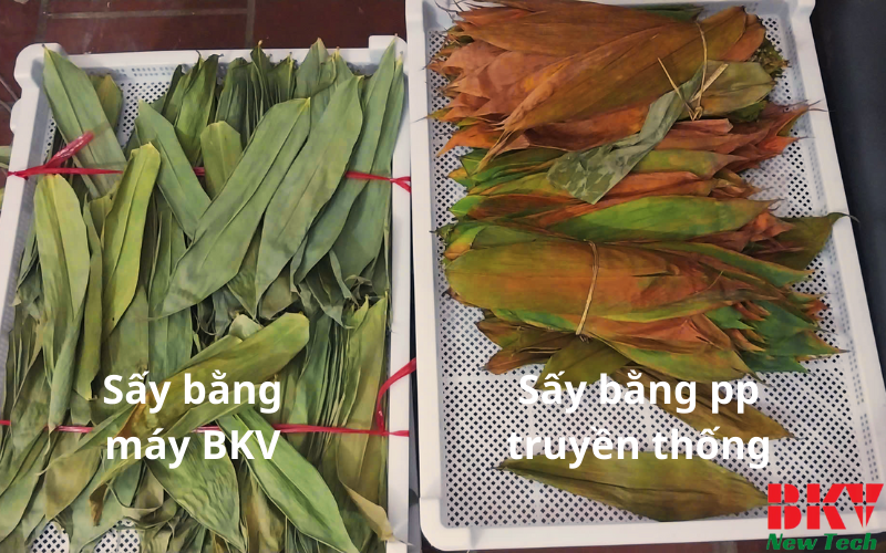 So sánh giữa sấy bằng máy của BKV với các phương pháp truyền thống