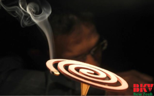 Quy Trình Sấy Nhang Muỗi Giải Pháp Hiệu Quả & An Toàn