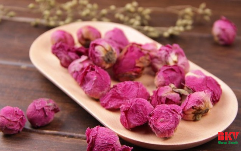 Nụ hoa mẫu đơn