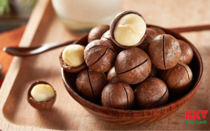 Bí quyết sấy khô hạt macca – Từ thu hoạch đến thành phẩm