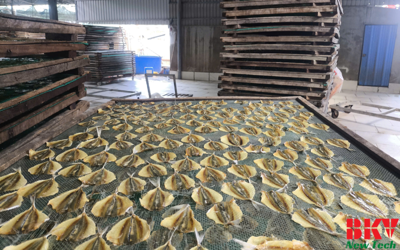 Quy trình sấy cá chỉ vàng của BKV