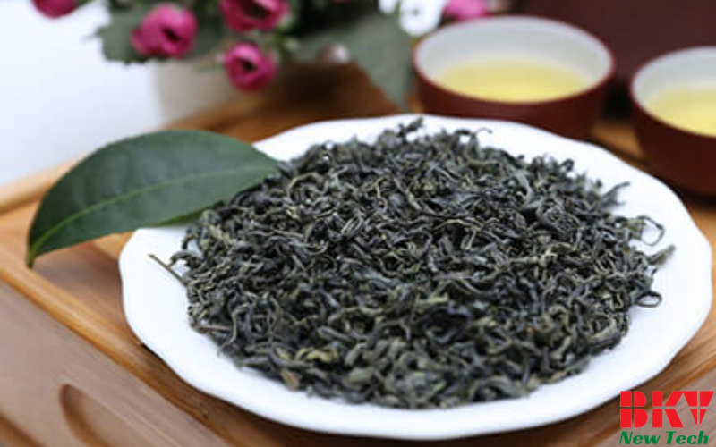 Giới thiệu về quy trình sấy chè xanh bằng máy sấy bơm nhiệt