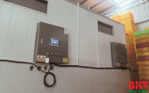 Dự Án Lắp Đặt Hệ Thống Sấy Hải Sản Tại Vũng Tàu