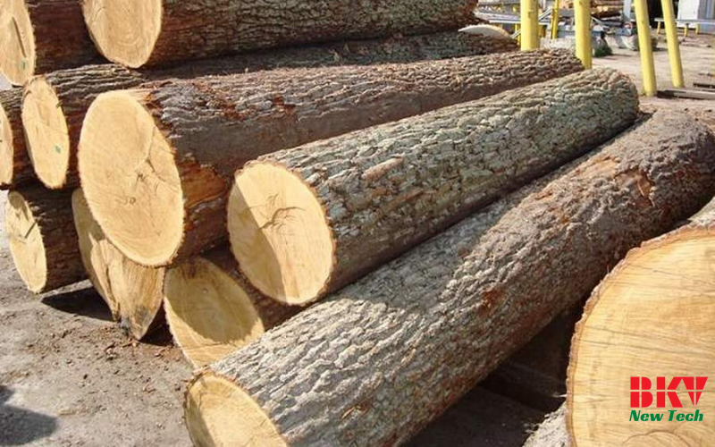 Quy Trình Sấy Gỗ Cao Su 25mm của BKV
