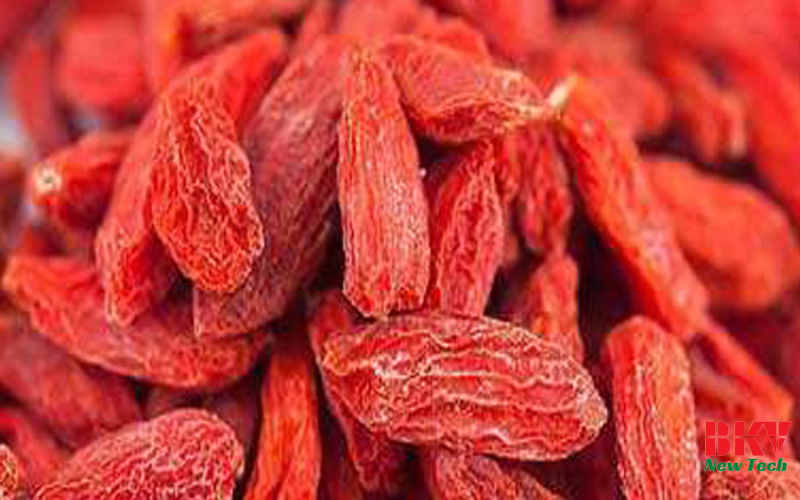 Ưu điểm của kỷ tử