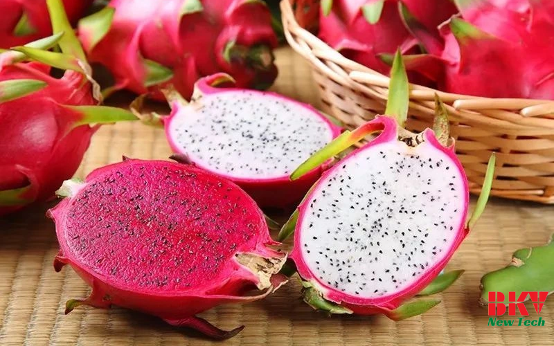 Quy Trình Sấy Thanh Long Giữ Trọn Màu Sắc Và Dinh Dưỡng