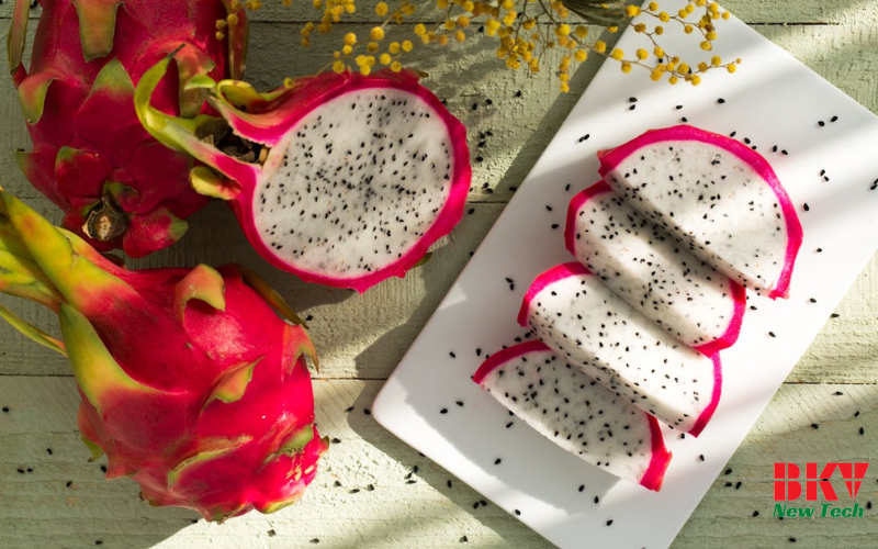 Trái Thanh Long Và Tiềm Năng Chế Biến Sấy Khô