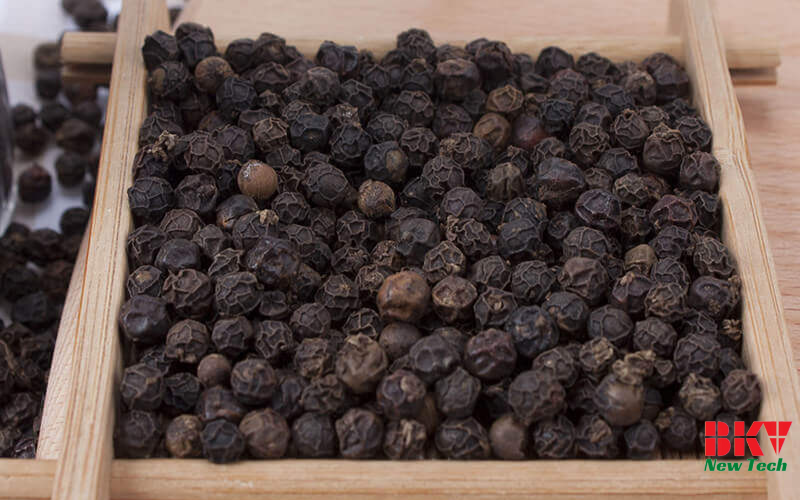 Quy Trình Sấy Hạt Tiêu Giữ Trọn Hương Vị
